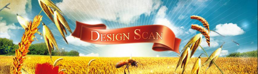 DesignScan.me, Get insight in your website.