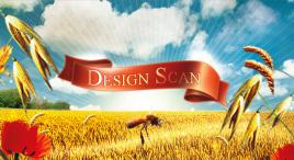 DesignScan.me, Get insight in your website.